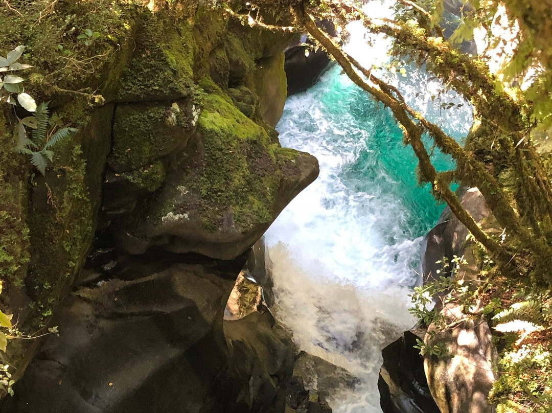 Southern Discoveries Te Anau-蒂阿瑙必去景点