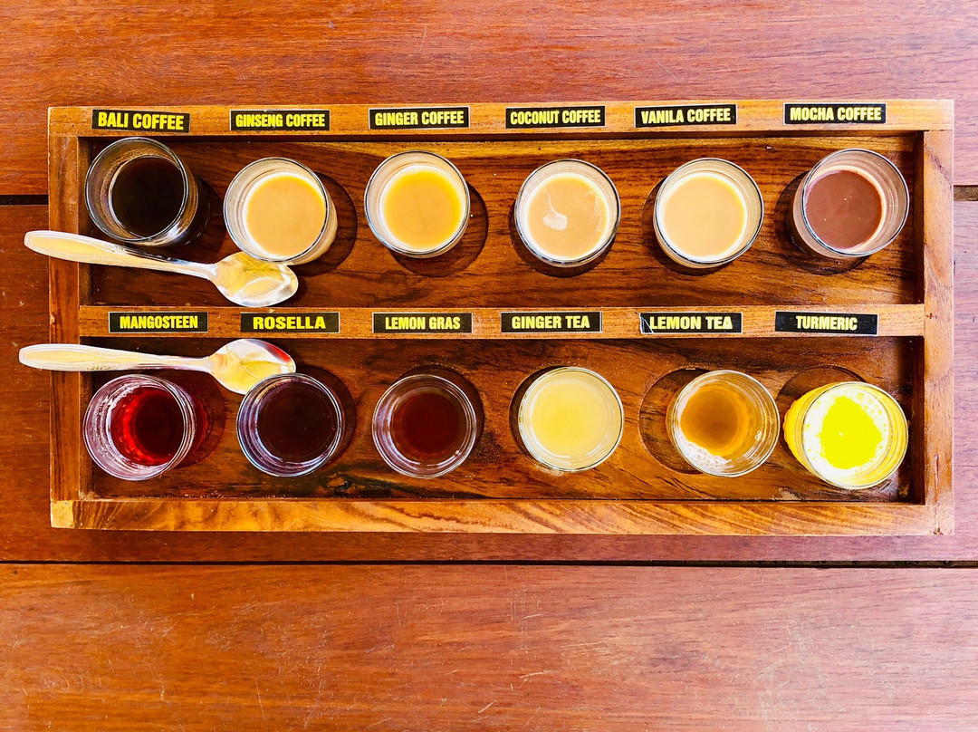 Aloha Ubud Swing-乌布必去景点