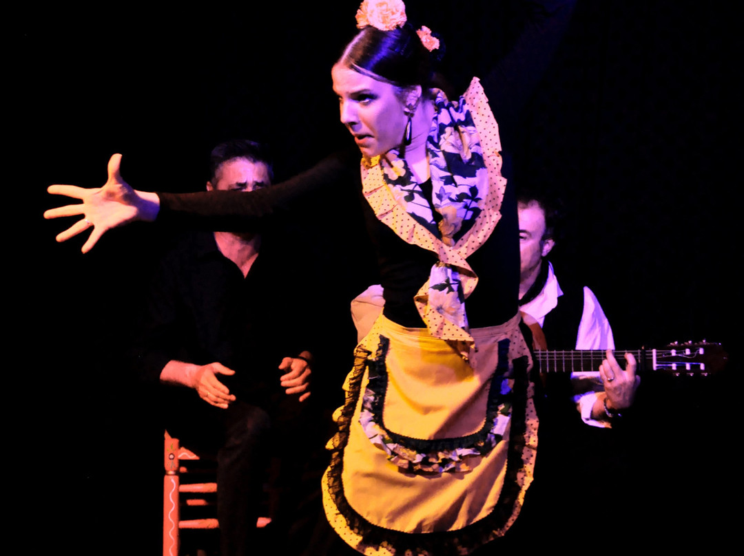 Tablao Flamenco Pura Esencia景点图片