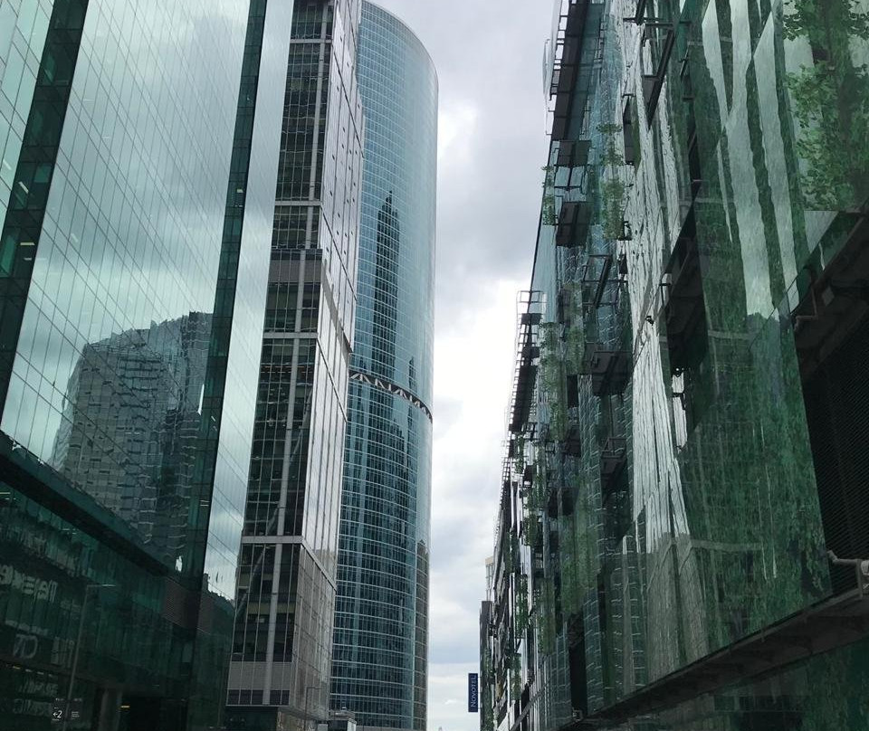 Medved Tours-圣彼得堡必去景点