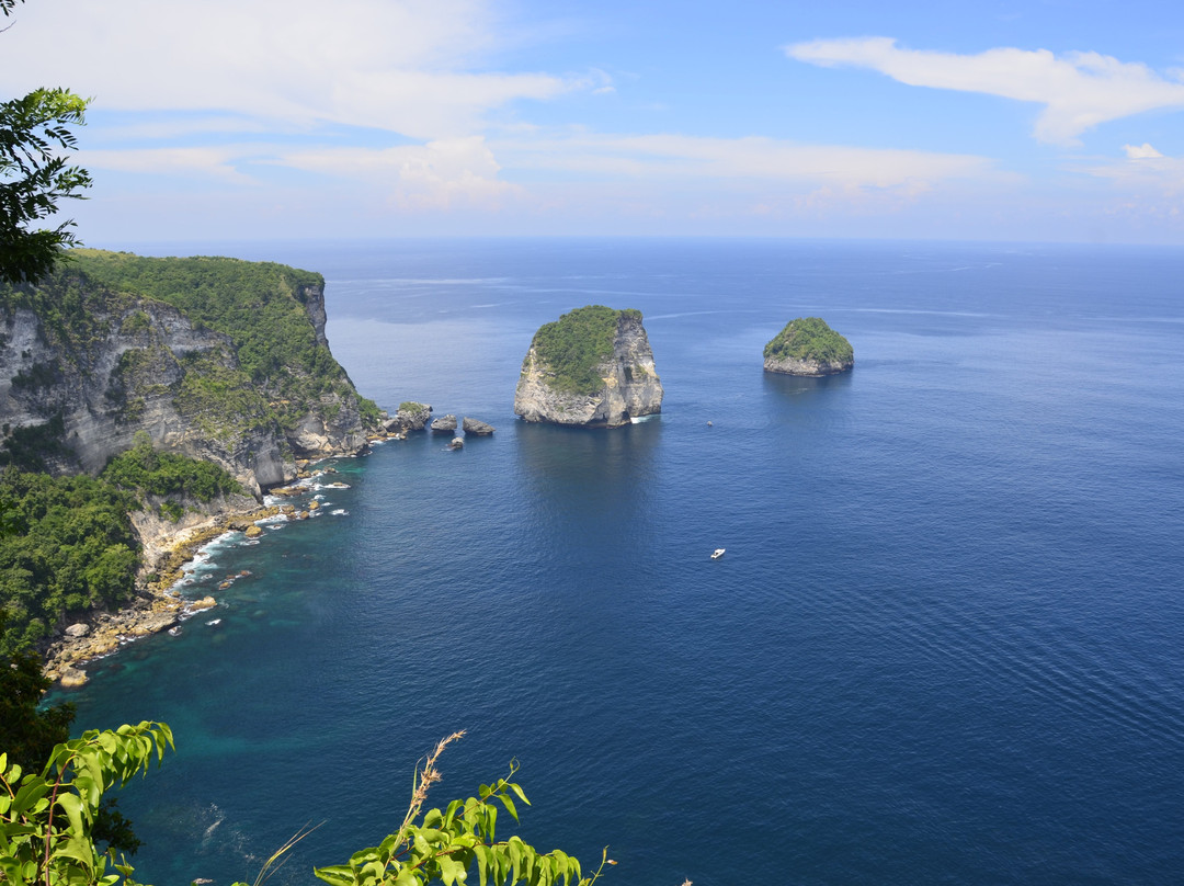 Manta Point-登巴萨必去景点