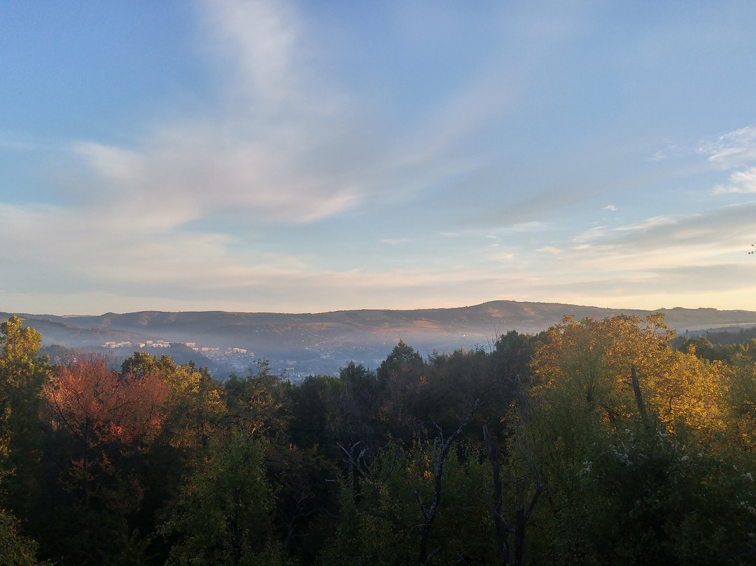 The Forest House主图