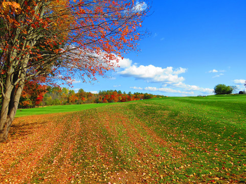 Campbell's Scottish Highlands Golf Course-Salem必去景点