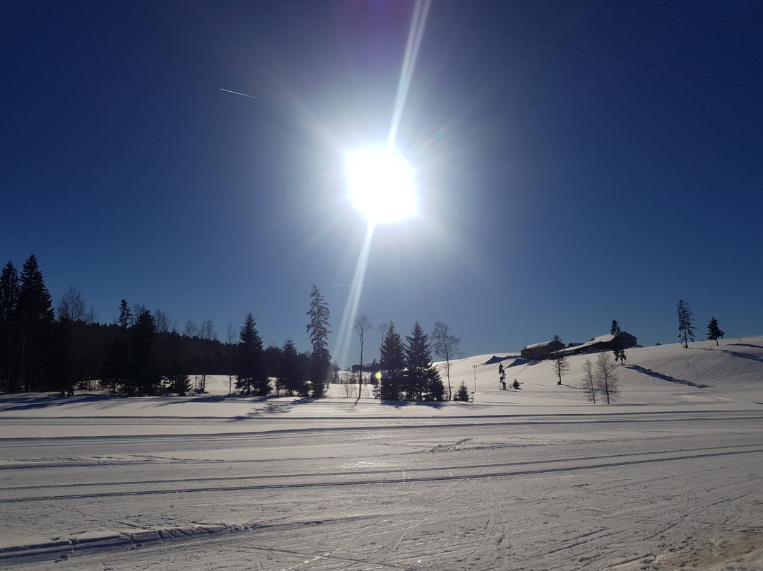 Nordic Sport Park景点图片