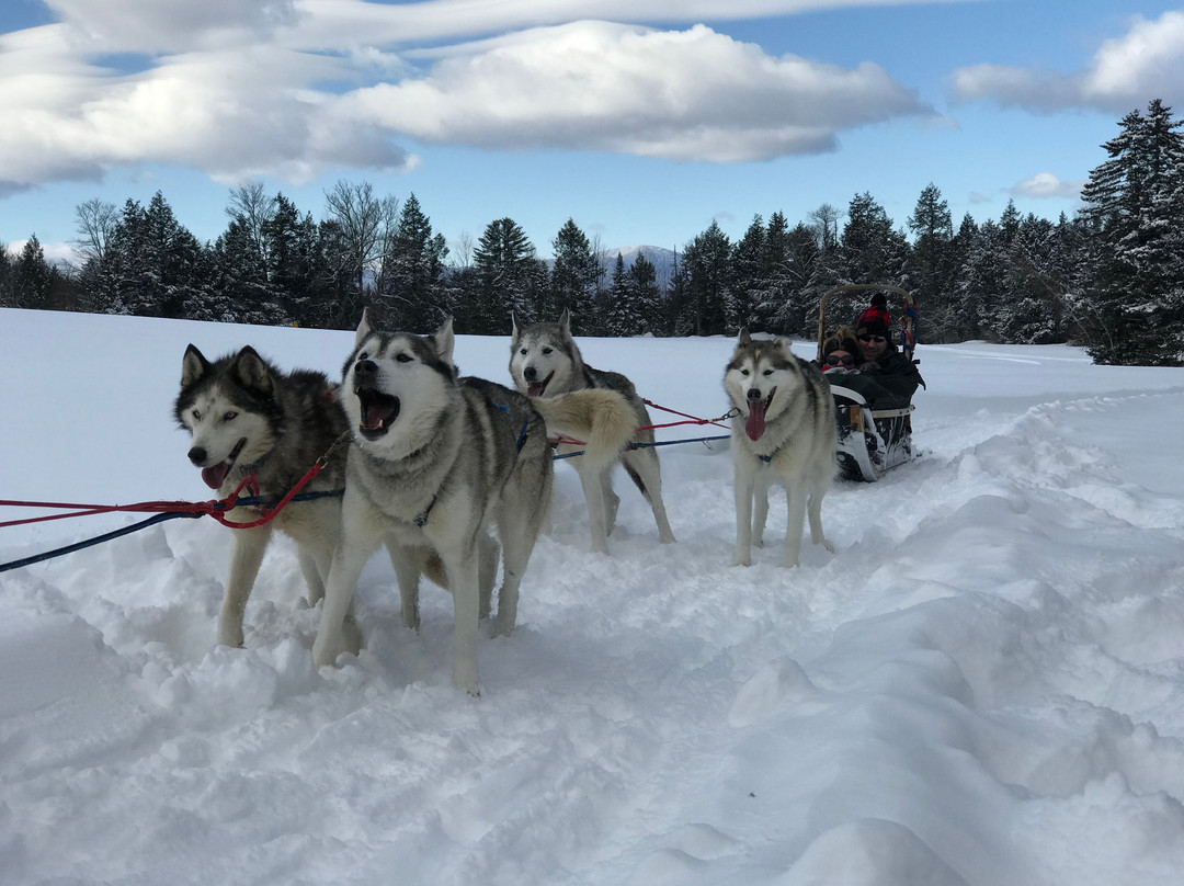 Peace Pups Dog Sledding-Elmore必去景点