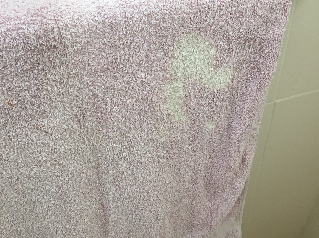 Hotel Le Diwali主图