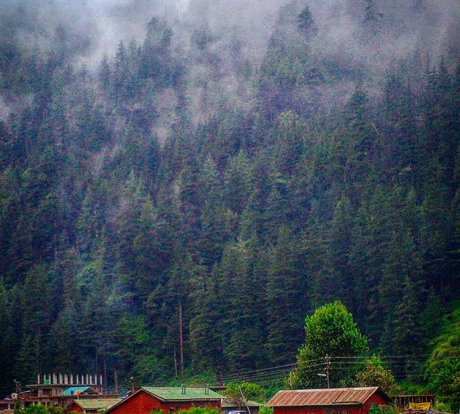 Barot Valley景点图片
