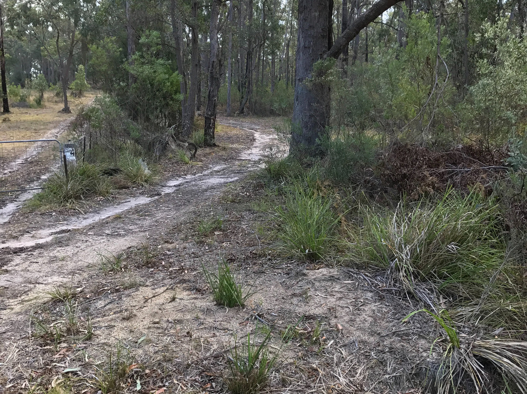 Mullungdung State Forest-Won Wron必去景点
