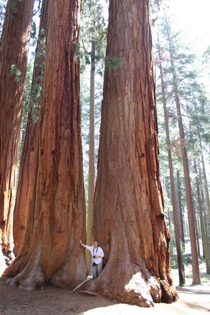 The Parker Group-红杉&国王峡谷国家公园必去景点