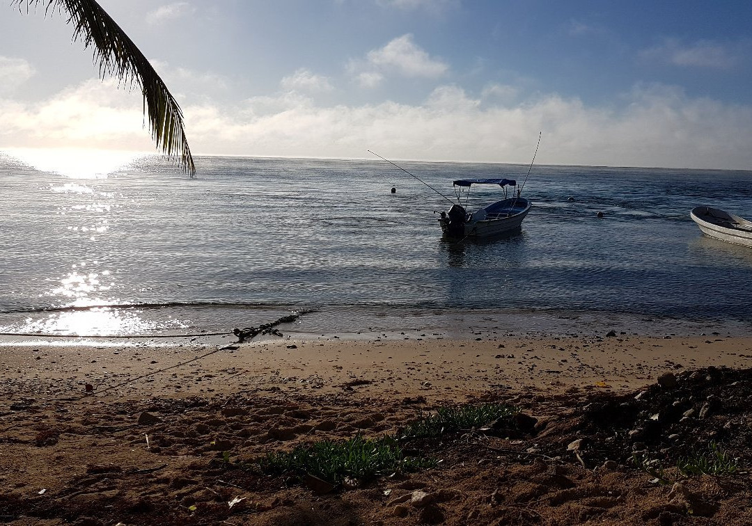 Manati Divers-图伦必去景点