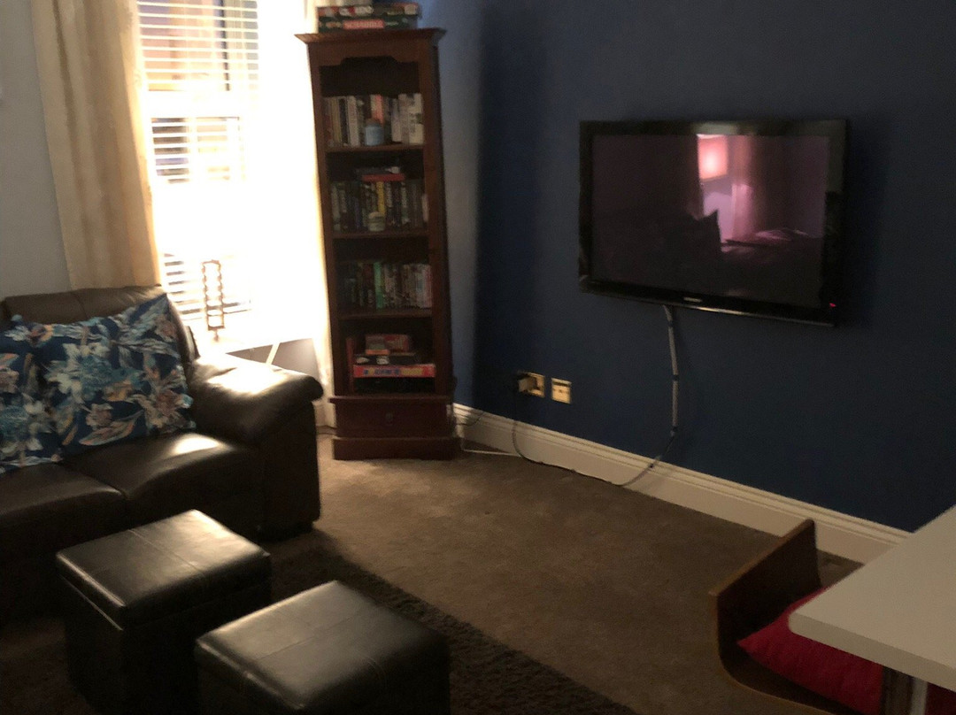 Bed and Blueberry主图