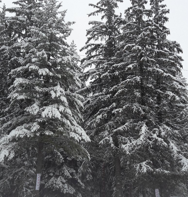 Family hotel Iskar主图