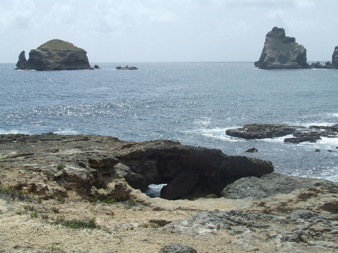 Hotel Le Petit Havre主图