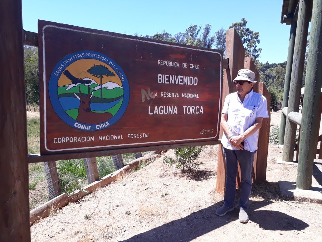 Reserva Nacional Laguna Torca景点图片