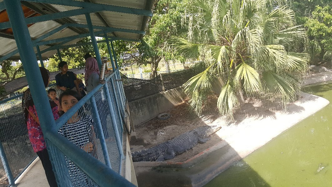 斗亚兰鳄鱼养殖场景点图片