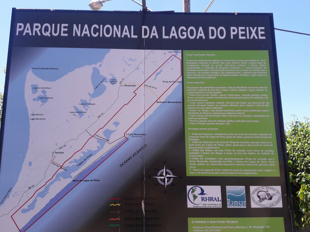 Lagoa do Peixe National Park景点图片