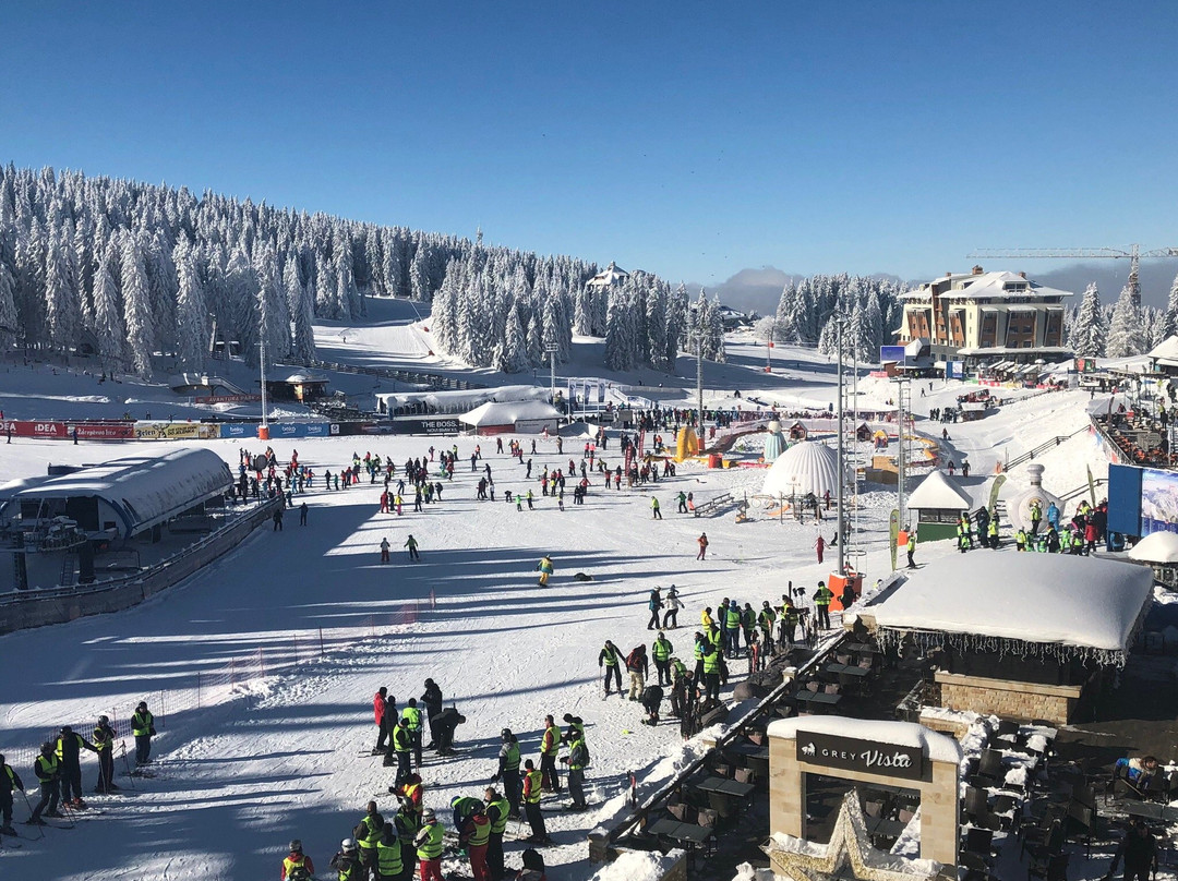 Grey Hotel Kopaonik主图