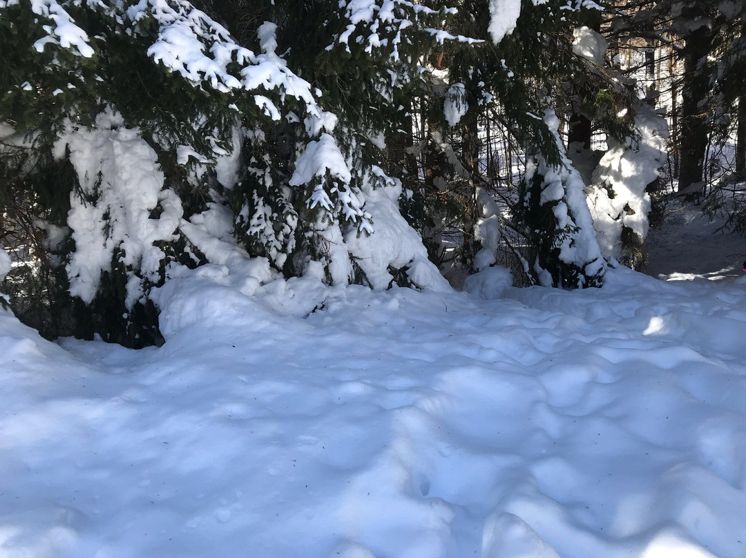 Snowcross-罗卡拉索必去景点