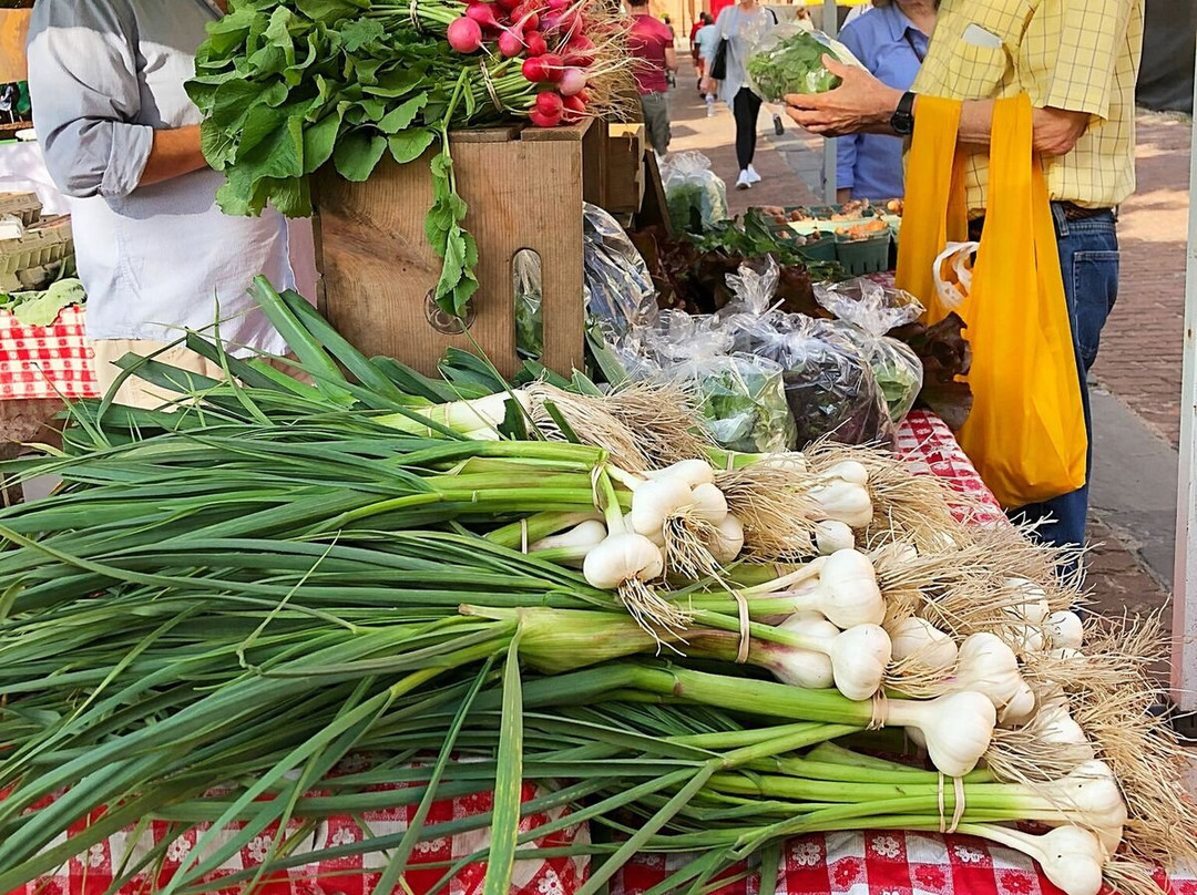 Charleston Farmers Market-查尔斯顿必去景点