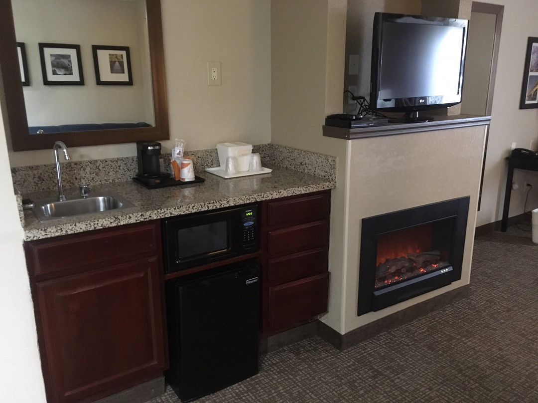 Comfort Inn & Suites Allen Park - Dearborn主图