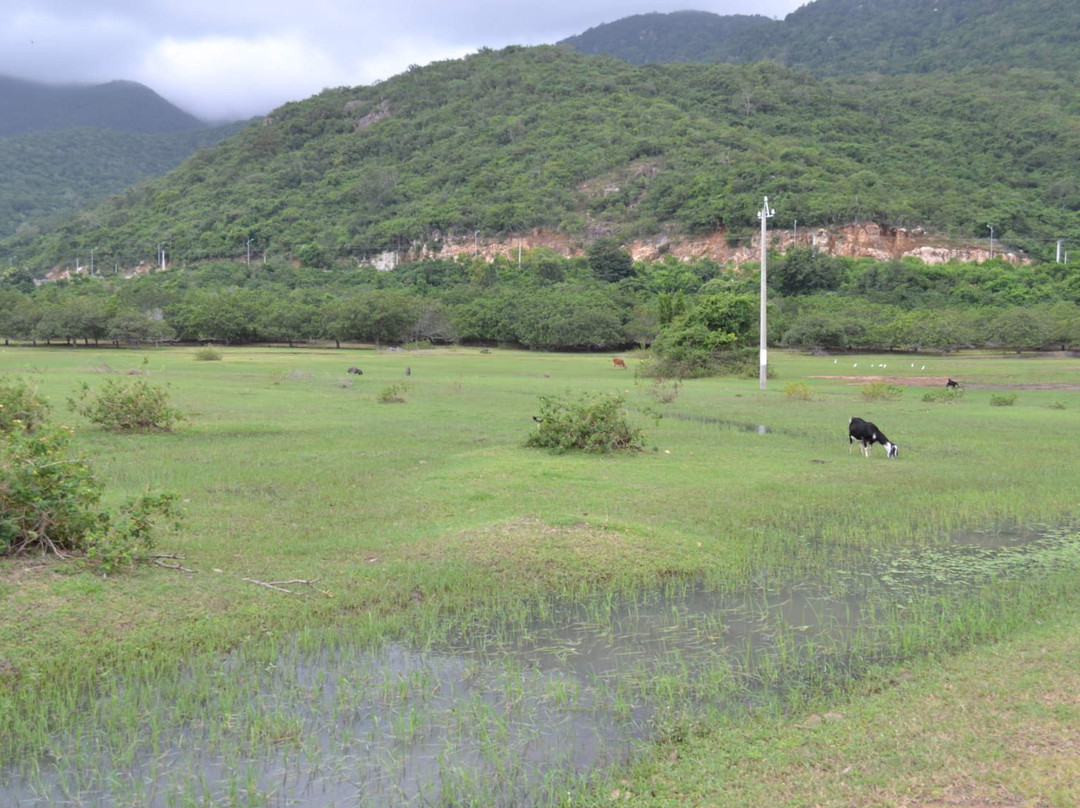 Nui Chua National Park景点图片