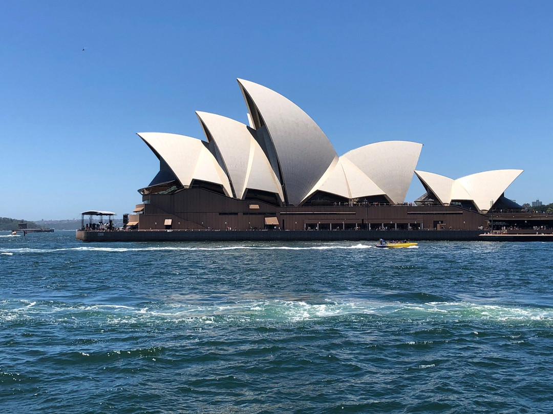 Manly Fast Ferry-曼利议会必去景点
