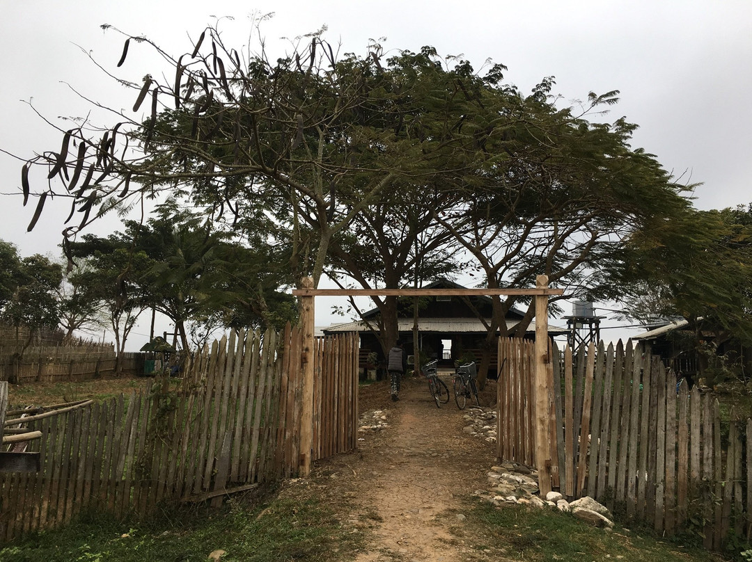 Lone Ton旅游攻略图片