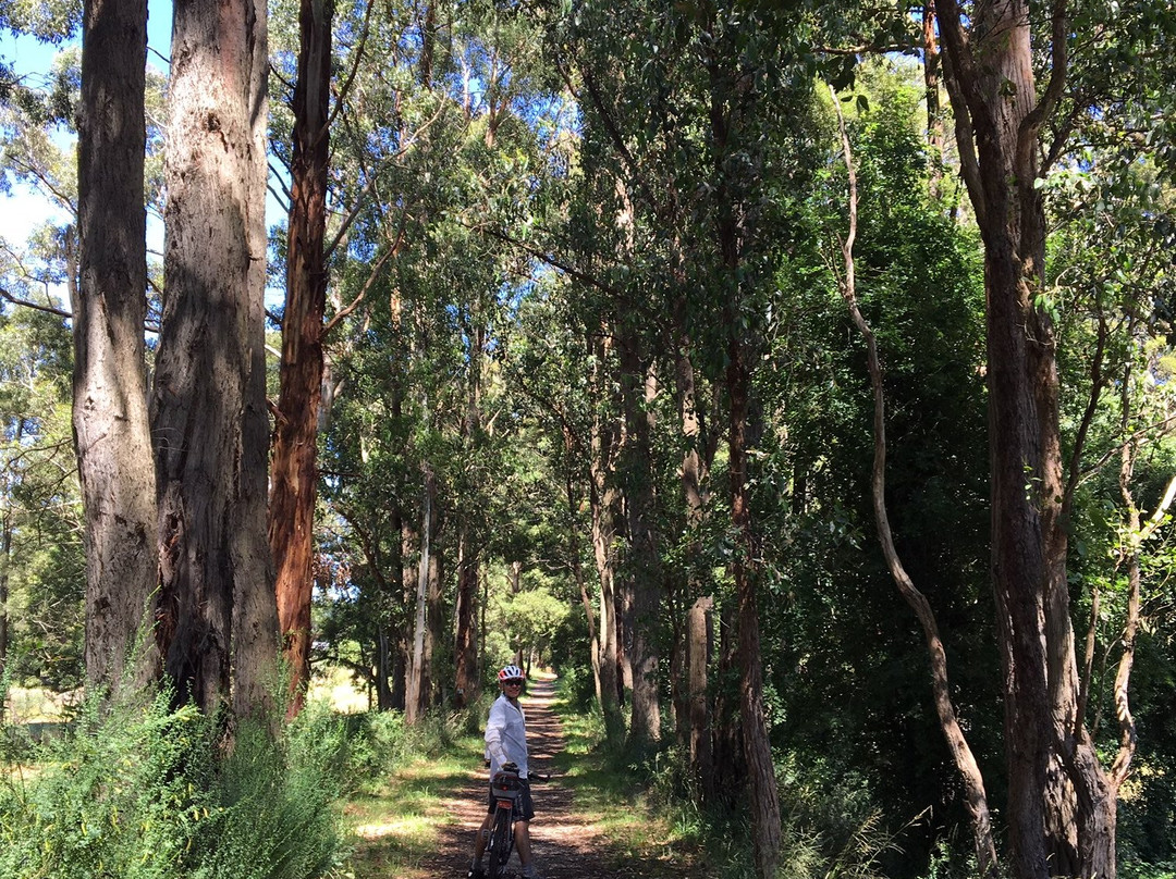 Domino Trail-Trentham必去景点