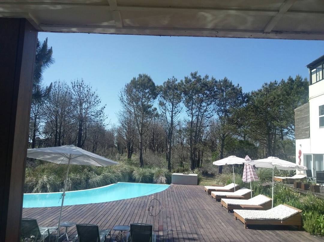 La Viuda de José Ignacio主图