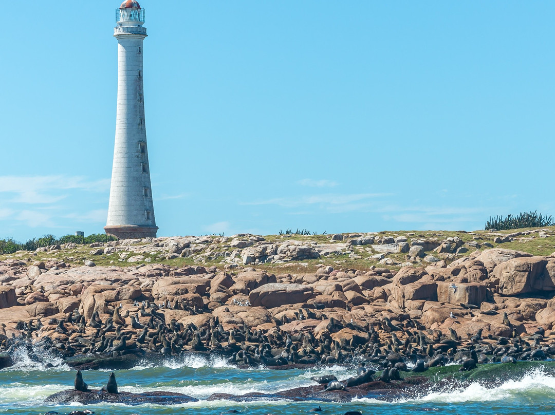 Isla de Lobos-埃斯特角城必去景点