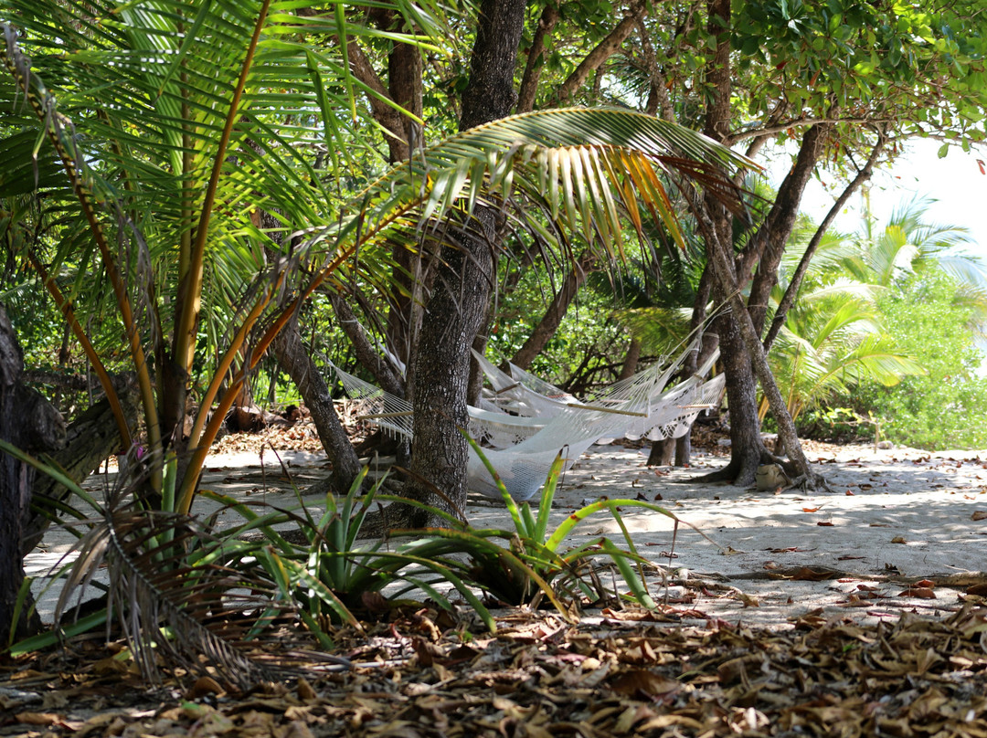 Blue Surf Sanctuary主图