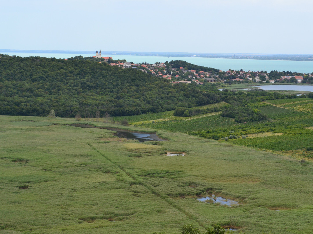 Ortorony Lookout Tower景点图片