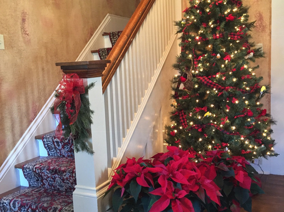 Mirabelle Bed and Breakfast主图