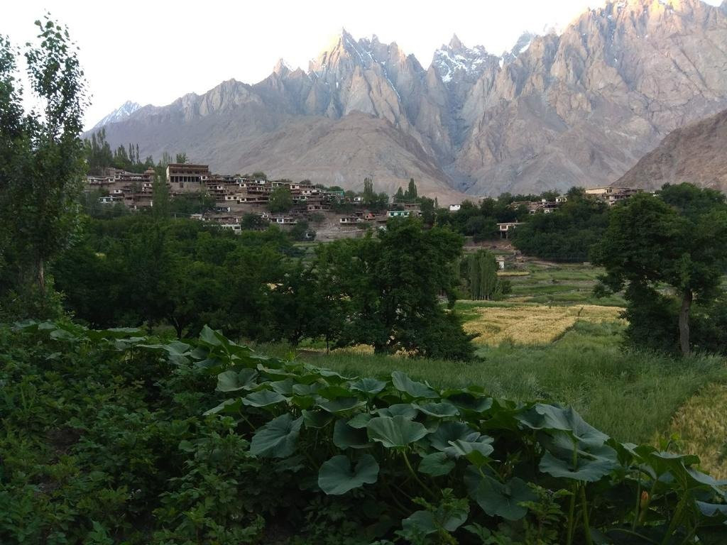 Felix Guest House主图