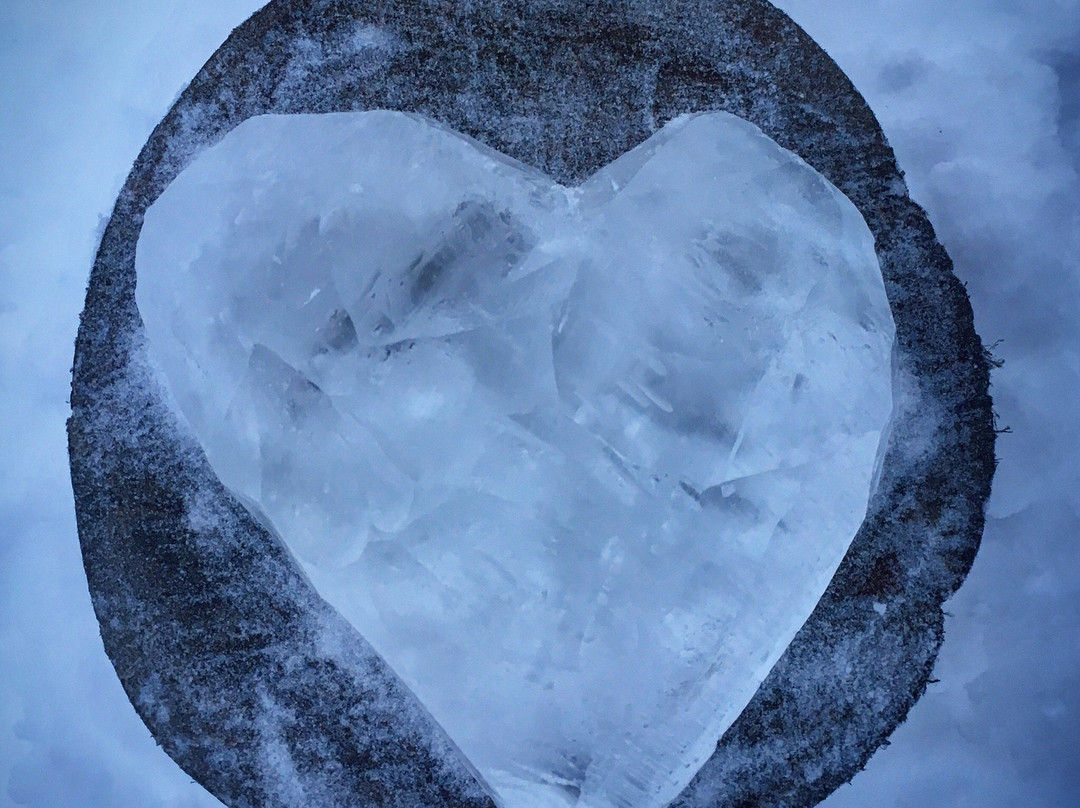 GoAhti Experience x Design x Food&drink-伊纳里必去景点