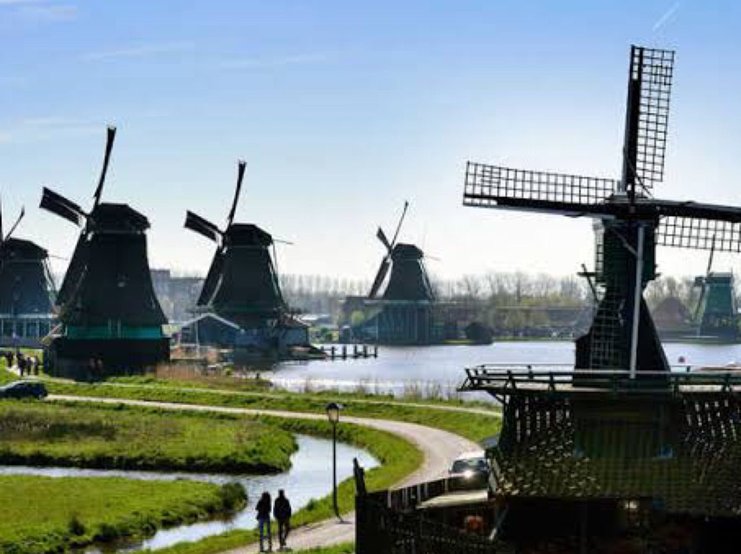 Windmillamsterdam景点图片