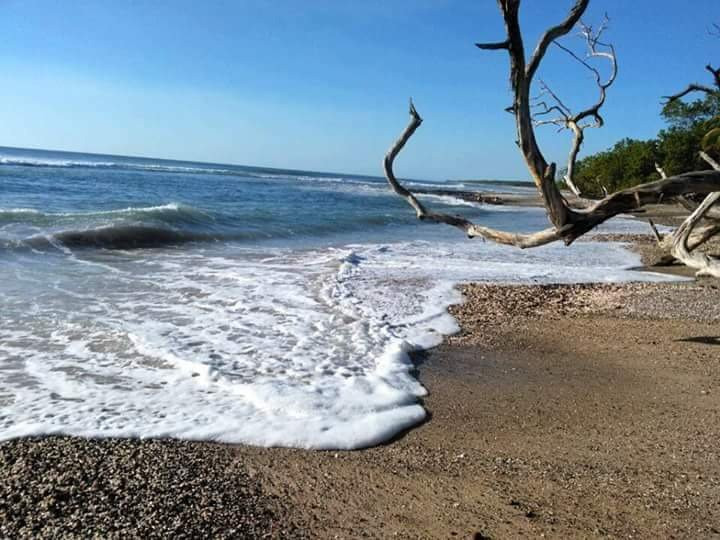 Playa Lagartillo旅游攻略图片