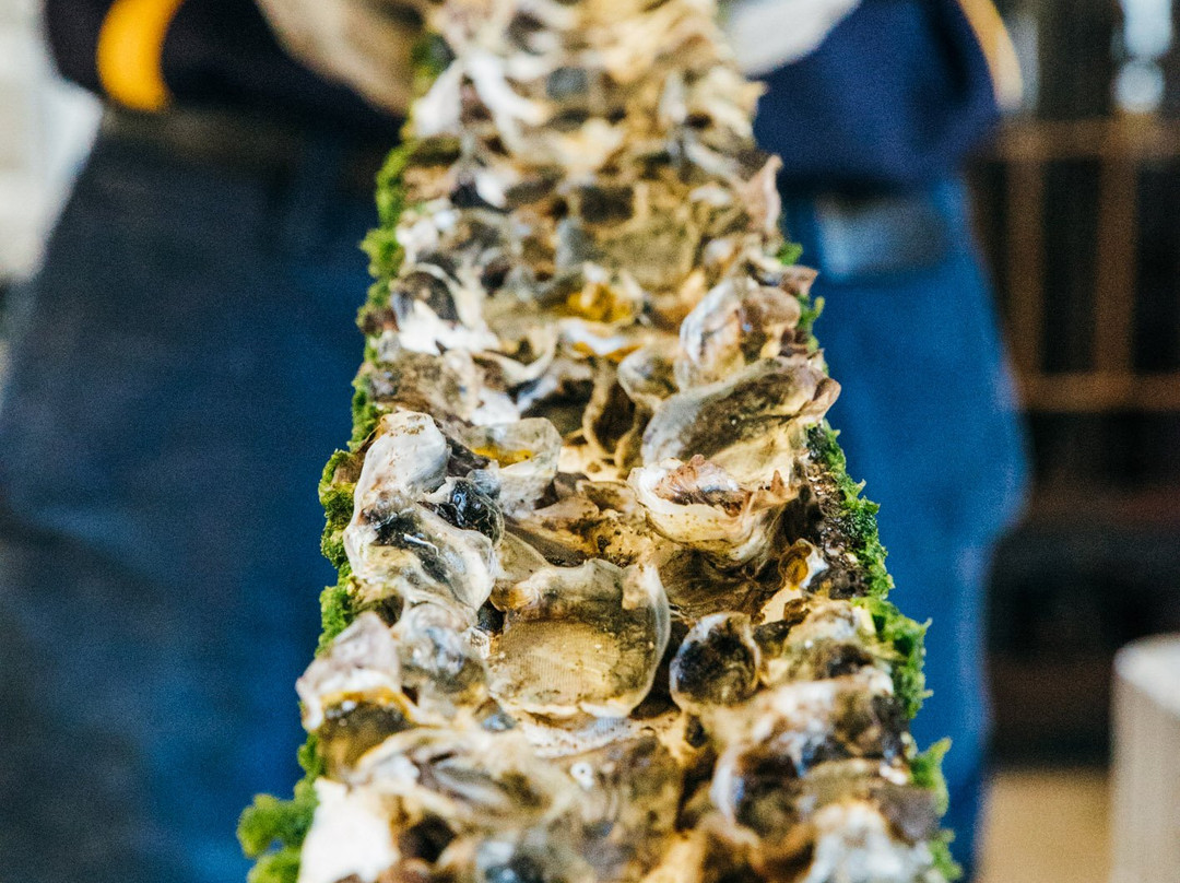Wheeler's Oyster Farm Tour景点图片