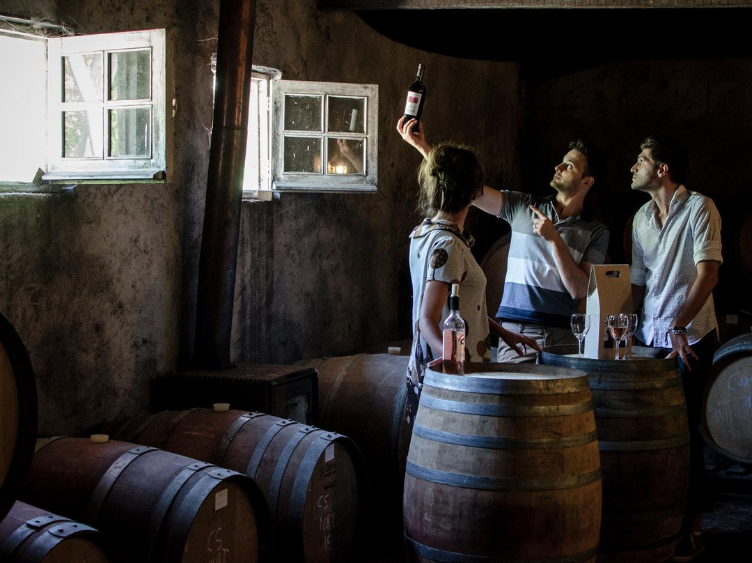 Hotel Viña Chillàn主图