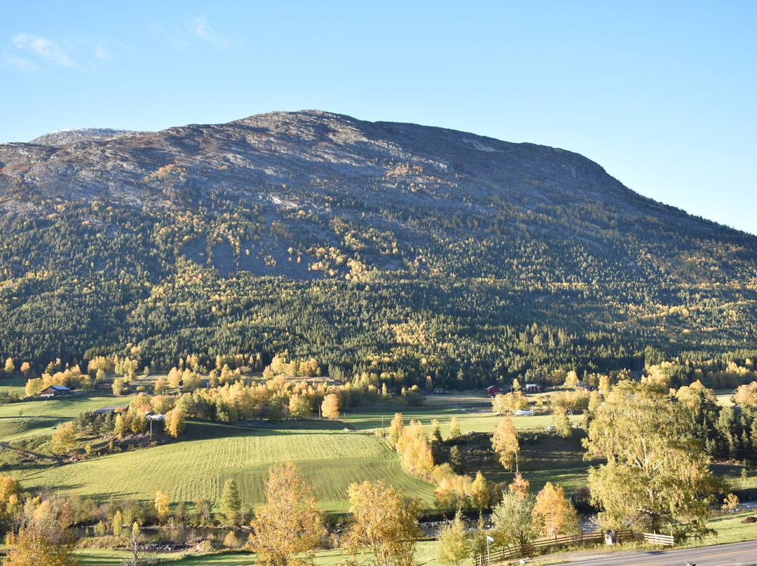 Teigen Gard