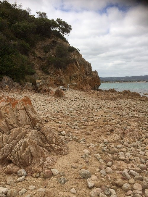 Pebble Beach景点图片