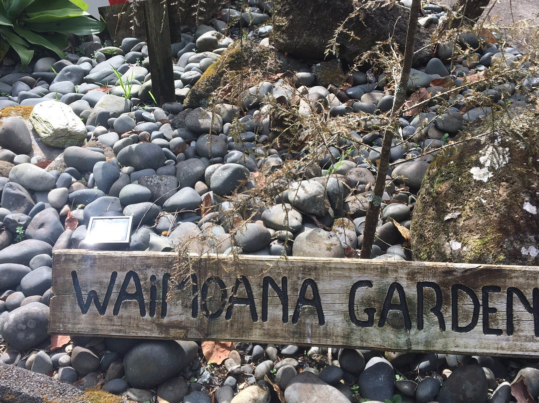 Waimoana Garden Accommodation主图