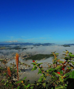 Morro do Gavião景点门票图片
