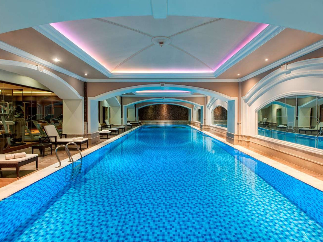 Elite World Van主图