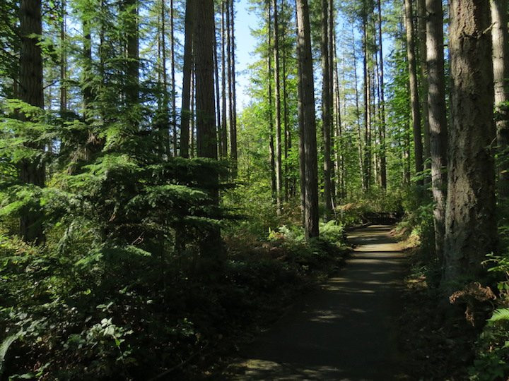 Northwest Trek Wildlife Park景点图片