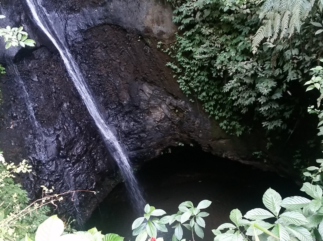 Coban Pawon Waterfall景点图片