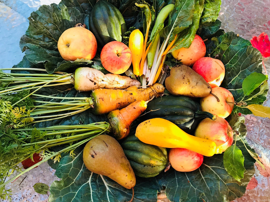 Auberge de Seattle, French Country Inn主图