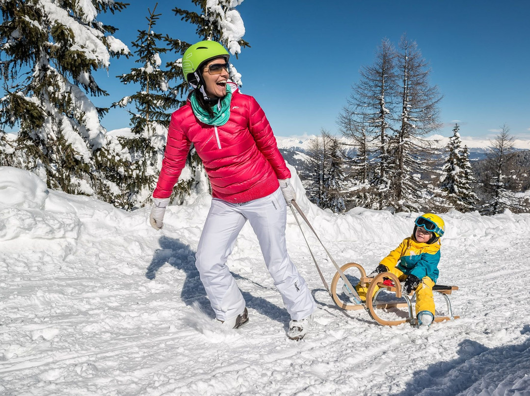 Familienhotel Hinteregger主图