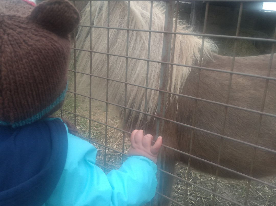 Verger La Magie De La Pomme-Saint-Eustache必去景点