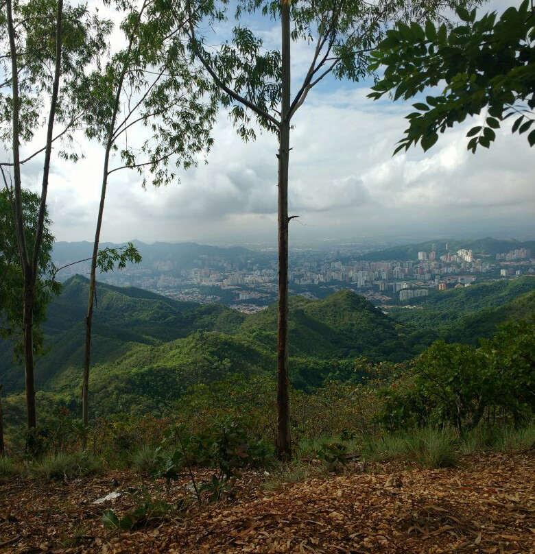 Municipal Casupo Park景点图片